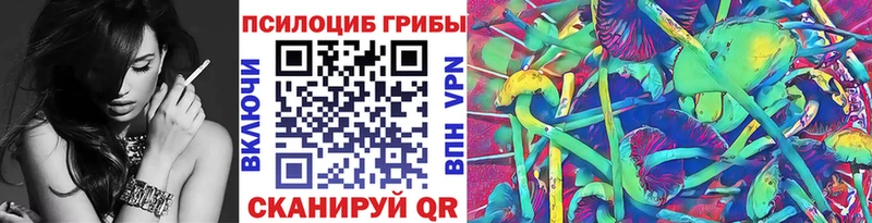 Галлюциногенные грибы Psilocybine cubensis  Болохово 